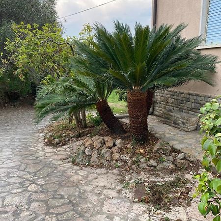 Il Giardino Delle Cycas Lejlighed Romito Magra Eksteriør billede