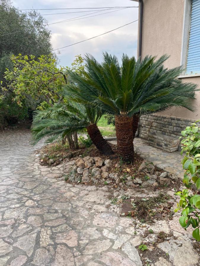 Il Giardino Delle Cycas Lejlighed Romito Magra Eksteriør billede