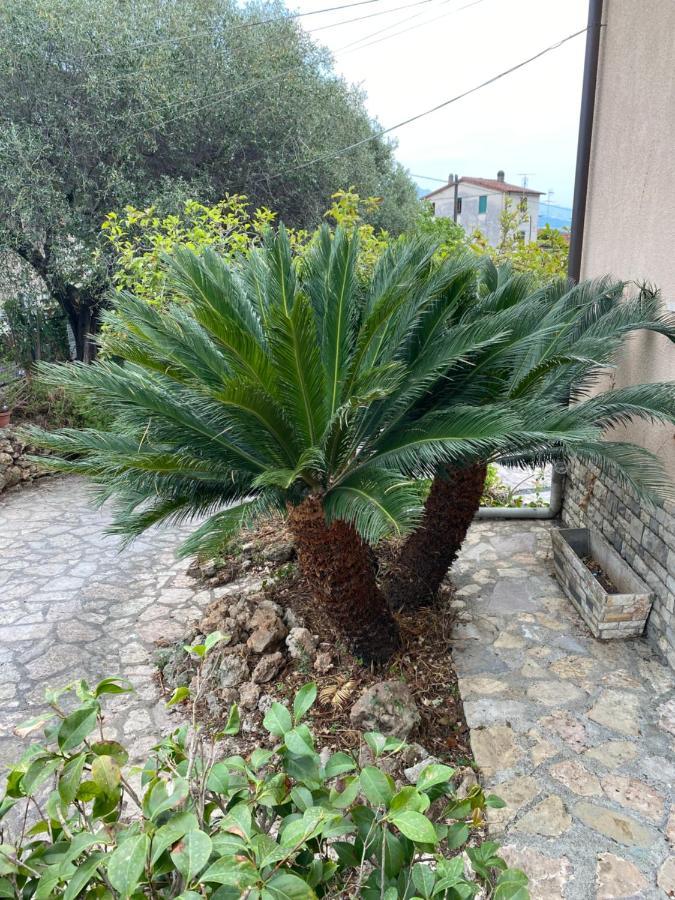 Il Giardino Delle Cycas Lejlighed Romito Magra Eksteriør billede