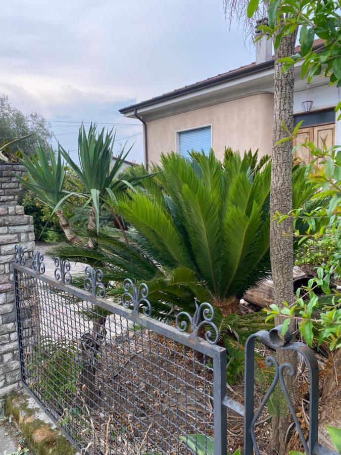 Il Giardino Delle Cycas Lejlighed Romito Magra Eksteriør billede