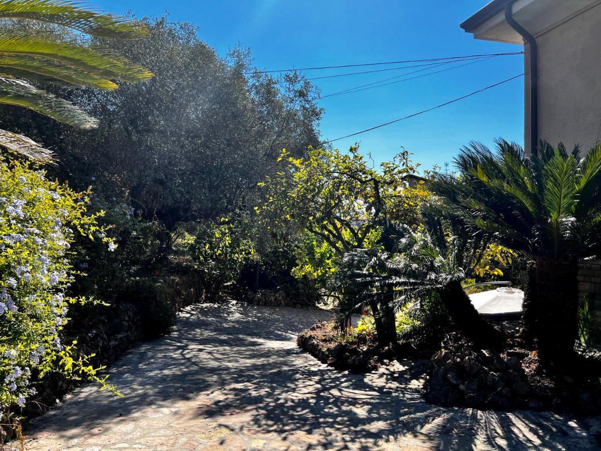Il Giardino Delle Cycas Lejlighed Romito Magra Eksteriør billede